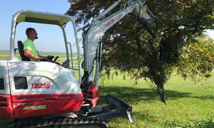 TB230 being used to cut branches