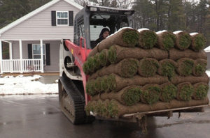 Track Loader Moving Rolls of Sod